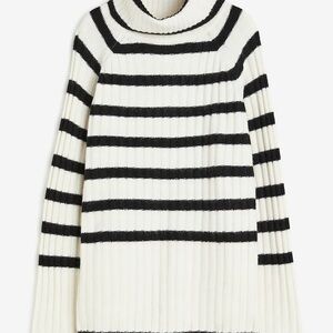 H&M Rib-Knit Turtleneck Sweater